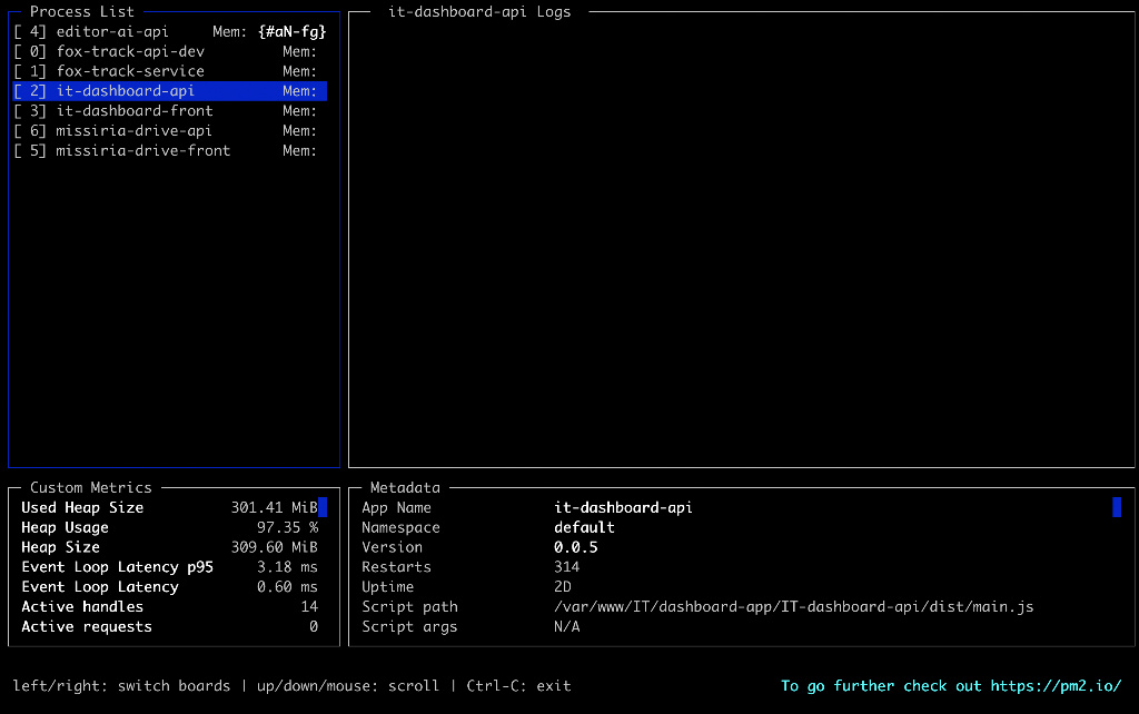 Diagnosing the PM2 "Out of Memory" Error